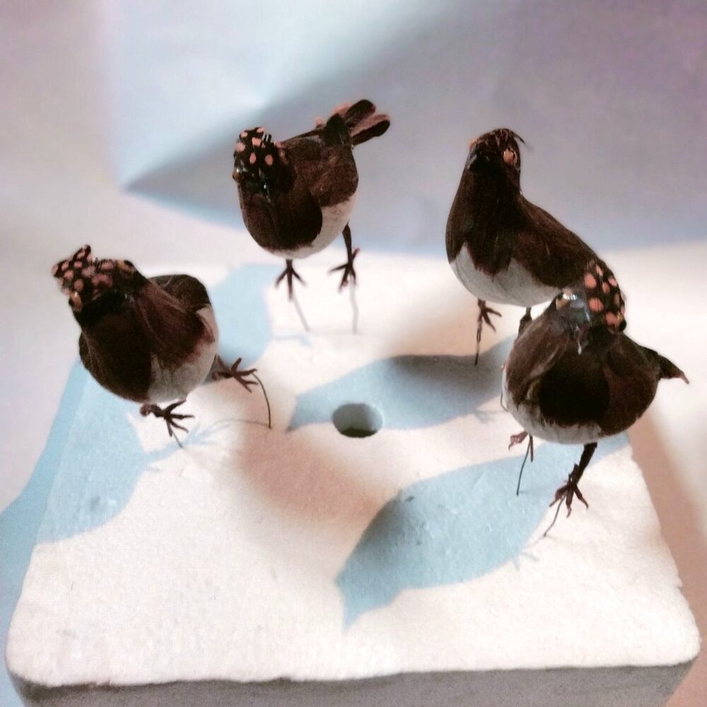 Decorative Tufted Birds Brown Orange Feathers Realistic Craft Display Lot 4 - Picture 11 of 14